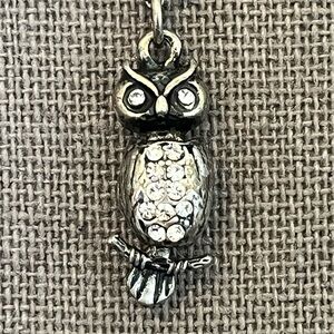 American Eagle Outfitters Silver Owl Necklace